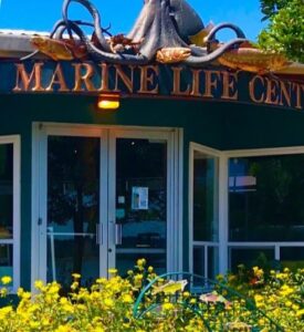 Feiro Marine Life Center entryway